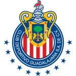 home-flag-undefined