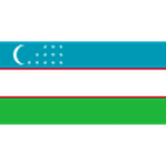 home-flag-undefined