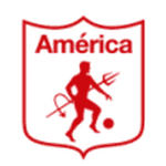 home-flag-undefined